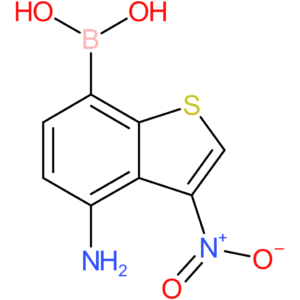 4-amino-3-nitrobenzothiophene-7-boronic acid