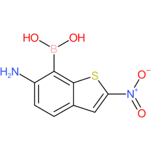 6-amino-2-nitrobenzothiophene-7-boronic acid
