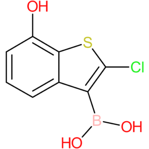 (2-chloro-7-hydroxy-1-benzothiophen-3-yl)boronic acid