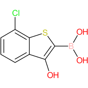 (7-chloro-3-hydroxy-1-benzothiophen-2-yl)boronic acid