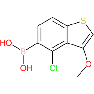 4-chloro-3-methoxybenzothiophene-5-boronic acid