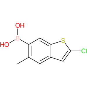 2-chloro-5-methylbenzothiophene-6-boronic acid