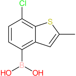 (7-chloro-2-methyl-1-benzothiophen-4-yl)boronic acid