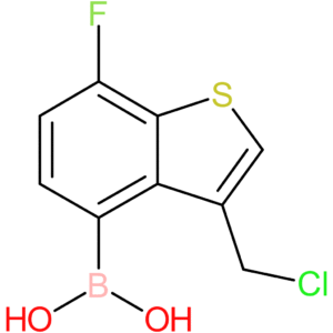 3-(chloromethyl)-7-fluorobenzothiophene-4-boronic acid