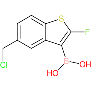 5-(chloromethyl)-2-fluorobenzothiophene-3-boronic acid
