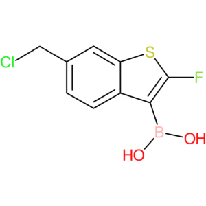 6-(chloromethyl)-2-fluorobenzothiophene-3-boronic acid