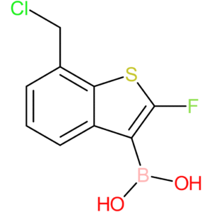7-(chloromethyl)-2-fluorobenzothiophene-3-boronic acid