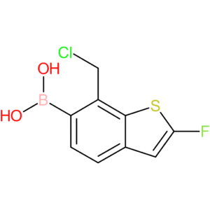 7-(chloromethyl)-2-fluorobenzothiophene-6-boronic acid