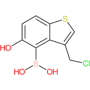 3-(chloromethyl)-5-hydroxybenzothiophene-4-boronic acid