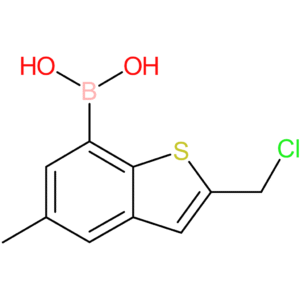 2-(chloromethyl)-5-methylbenzothiophene-7-boronic acid