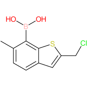 2-(chloromethyl)-6-methylbenzothiophene-7-boronic acid