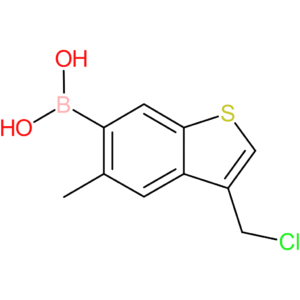 3-(chloromethyl)-5-methylbenzothiophene-6-boronic acid
