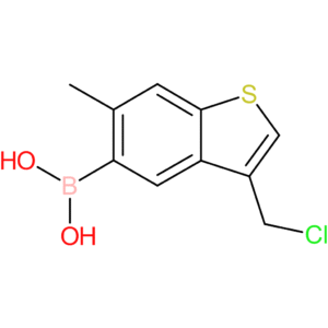 3-(chloromethyl)-6-methylbenzothiophene-5-boronic acid