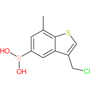 3-(chloromethyl)-7-methylbenzothiophene-5-boronic acid