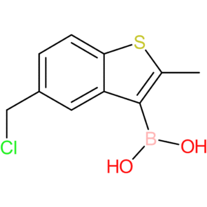 5-(chloromethyl)-2-methylbenzothiophene-3-boronic acid