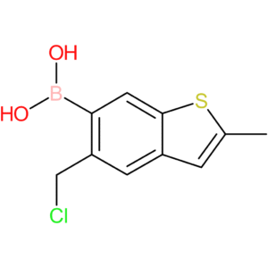 5-(chloromethyl)-2-methylbenzothiophene-6-boronic acid