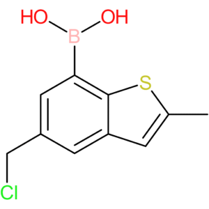 5-(chloromethyl)-2-methylbenzothiophene-7-boronic acid