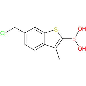6-(chloromethyl)-3-methylbenzothiophene-2-boronic acid