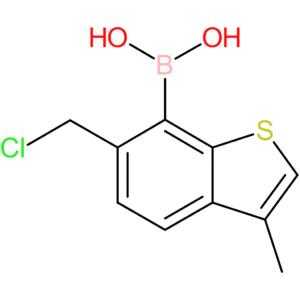 6-(chloromethyl)-3-methylbenzothiophene-7-boronic acid