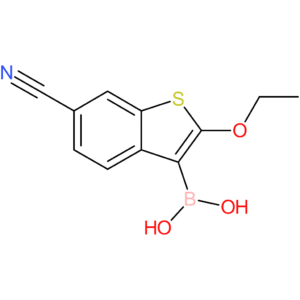 6-cyano-2-ethoxybenzothiophene-3-boronic acid