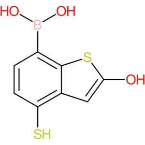 2-hydroxy-4-mercaptobenzothiophene-7-boronic acid