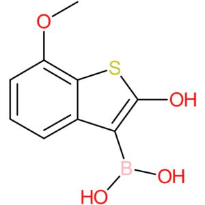 2-hydroxy-7-methoxybenzothiophene-3-boronic acid