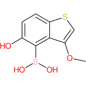 5-hydroxy-3-methoxybenzothiophene-4-boronic acid