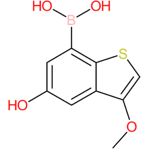 5-hydroxy-3-methoxybenzothiophene-7-boronic acid