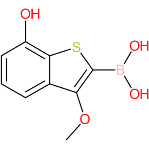 7-hydroxy-3-methoxybenzothiophene-2-boronic acid