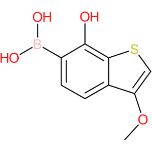 7-hydroxy-3-methoxybenzothiophene-6-boronic acid