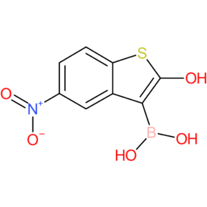 2-hydroxy-5-nitrobenzothiophene-3-boronic acid