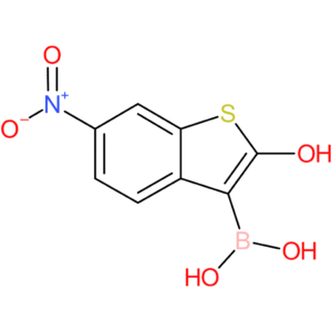 2-hydroxy-6-nitrobenzothiophene-3-boronic acid