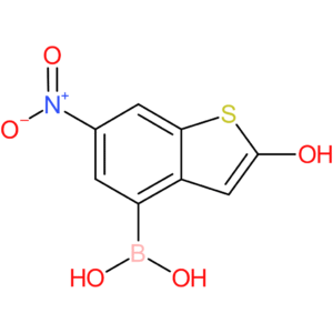 2-hydroxy-6-nitrobenzothiophene-4-boronic acid