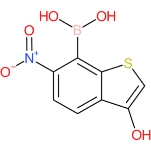 3-hydroxy-6-nitrobenzothiophene-7-boronic acid