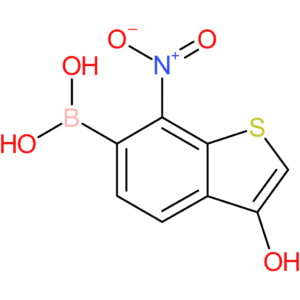 3-hydroxy-7-nitrobenzothiophene-6-boronic acid