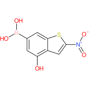 4-hydroxy-2-nitrobenzothiophene-6-boronic acid