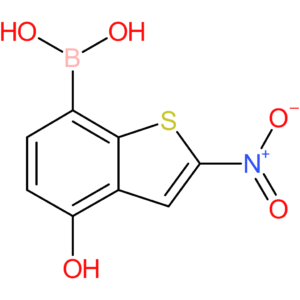 4-hydroxy-2-nitrobenzothiophene-7-boronic acid