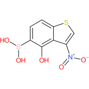 4-hydroxy-3-nitrobenzothiophene-5-boronic acid
