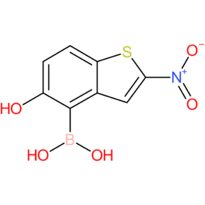 5-hydroxy-2-nitrobenzothiophene-4-boronic acid
