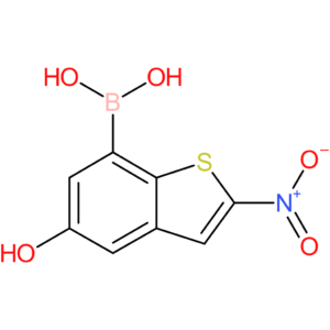 5-hydroxy-2-nitrobenzothiophene-7-boronic acid
