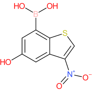 5-hydroxy-3-nitrobenzothiophene-7-boronic acid