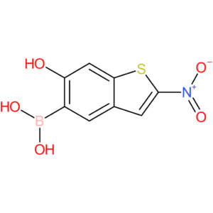 6-hydroxy-2-nitrobenzothiophene-5-boronic acid