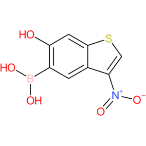 6-hydroxy-3-nitrobenzothiophene-5-boronic acid