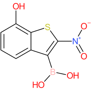 7-hydroxy-2-nitrobenzothiophene-3-boronic acid