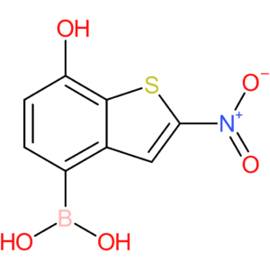 7-hydroxy-2-nitrobenzothiophene-4-boronic acid