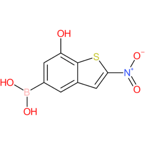 7-hydroxy-2-nitrobenzothiophene-5-boronic acid
