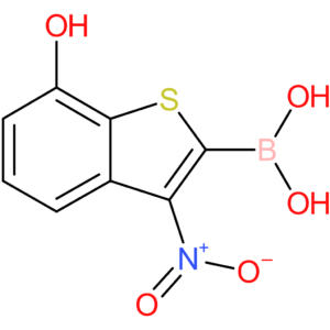 7-hydroxy-3-nitrobenzothiophene-2-boronic acid