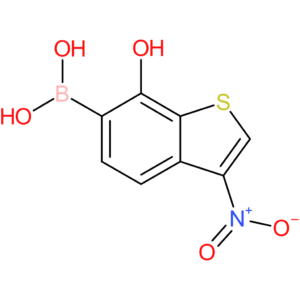 7-hydroxy-3-nitrobenzothiophene-6-boronic acid