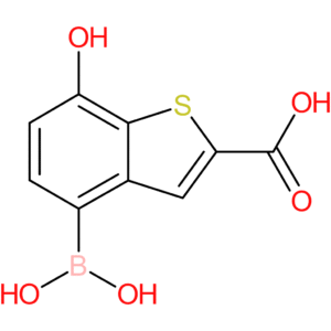 2-carboxy-7-hydroxybenzothiophene-4-boronic acid