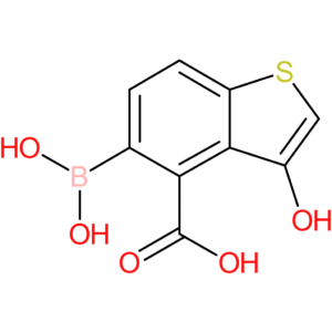 4-carboxy-3-hydroxybenzothiophene-5-boronic acid